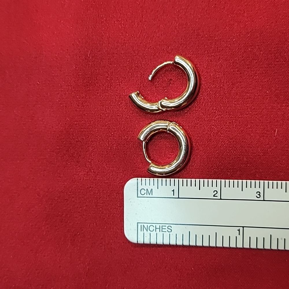 Talisa Bold Hoop Earrings - Small - New - Picture 2 of 2